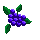 blueberry.gif (285 bytes)
