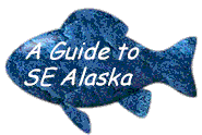 Guide to SE Alaska
