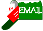 E-Mail the Wee Kiwis
